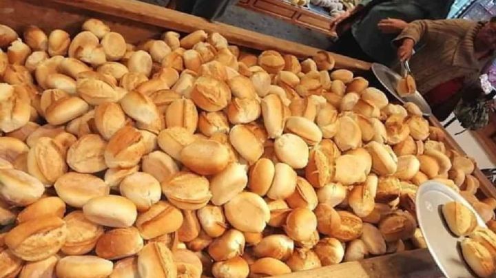 ¿Un bolillo para el susto? Esto dice la UNAM tras sismo en CDMX