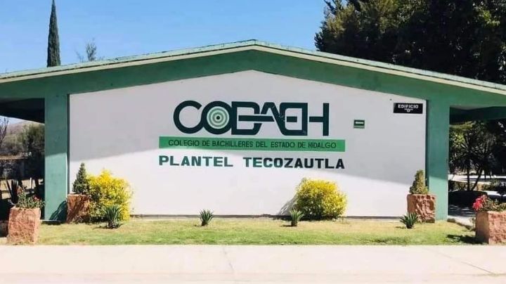 Empresas inhabilitadas por Contraloría estatal tuvieron contratos con el Cobaeh