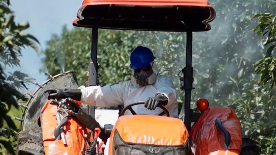 El glifosato no es una sustancia cancerígena lo han demostrado estudios