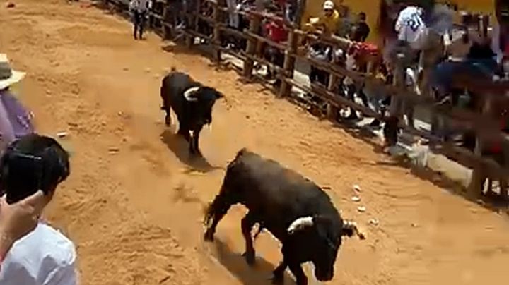 VIDEOS | Lesionados por cornadas en la Santiagada; así se vivió
