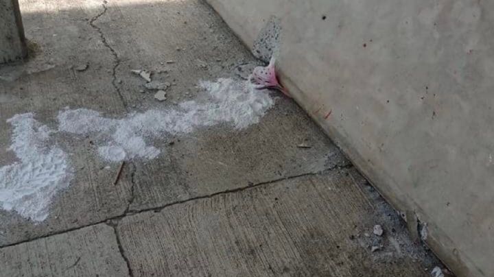 Niña de 6 años pierde la pierna, tras accidente en escuela de Hidalgo