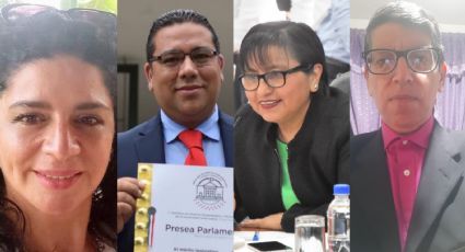 Asesores en el congreso de Veracruz: las mentes detrás de la curules