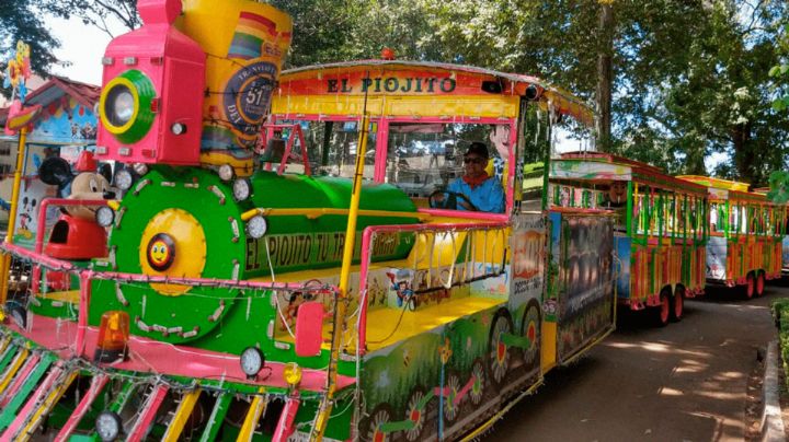 ¿Por qué no regresa El Piojito al parque Los Berros en Xalapa?