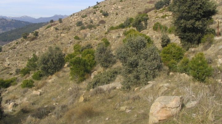 Alba salió ayer de su casa, hoy la encontraron fracturada en una ladera