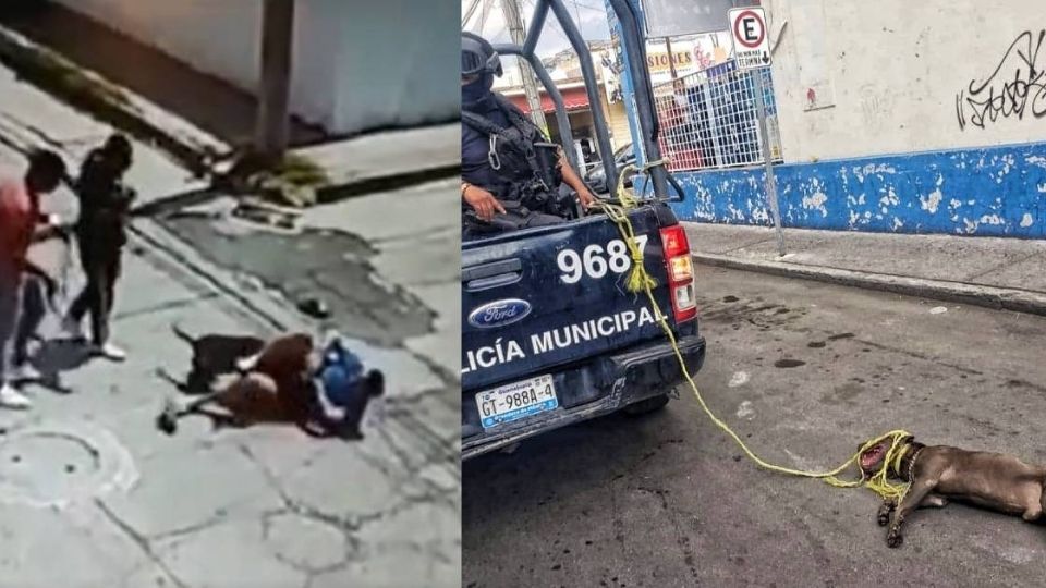 El ataque no se difundió, pero la imagen del perro amarrado en Celaya enardeció a los internautas.