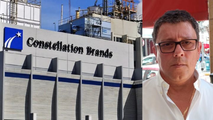 Temen que Constellation Brands contrate mano de obra foránea