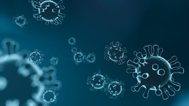 ¿Te enfermaste? En León circulan estas variantes de virus