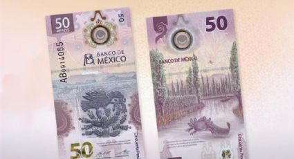 $50 mil a quien tenga este billete del "ajolotito"