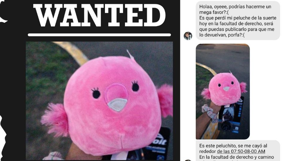 Su peluche se perdió en la ciudad de Xalapa en su primer día de clases