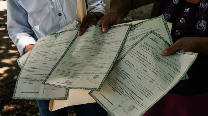 López, el apellido con más de un escudo heráldico