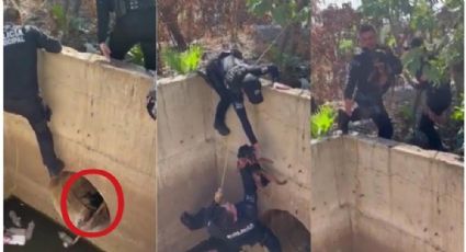 VIDEO: Policías de Culiacán se ponen capa de héroes; rescatan a perrito atrapado en drenaje