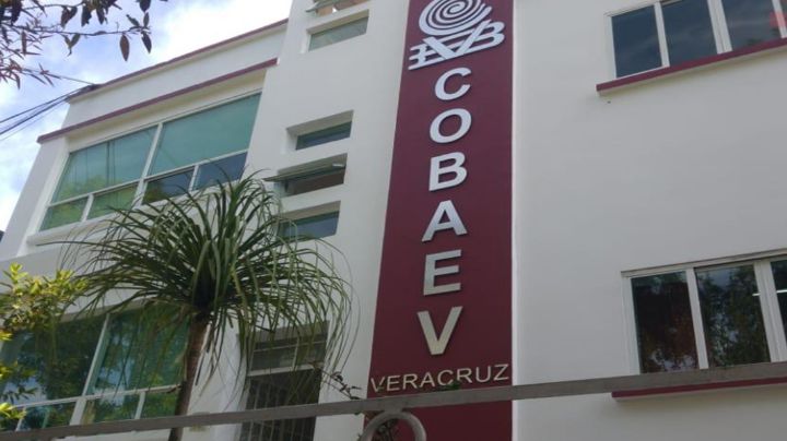 Pese a error en certificados COBAEV, egresados podrán inscribirse a universidad: SEV