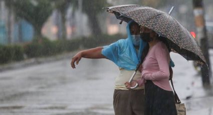 ¿Cómo estará el clima en Veracruz este martes 8 de noviembre?