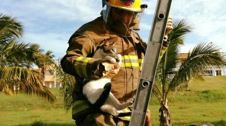 "Por su valentía", reconoce Unanue a bomberos de Boca del Río