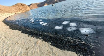 Desastre ambiental: Balandra, la playa que pasó de ser turquesa a negra