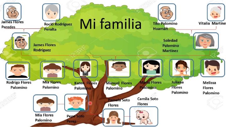 ¿Quieres construir tu árbol genealógico por apellidos?