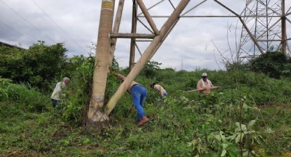 Madres de desaparecidos buscan cuerpos debajo de puente en Coatzacoalcos