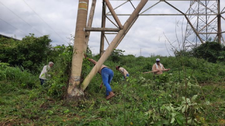 Madres de desaparecidos buscan cuerpos debajo de puente en Coatzacoalcos