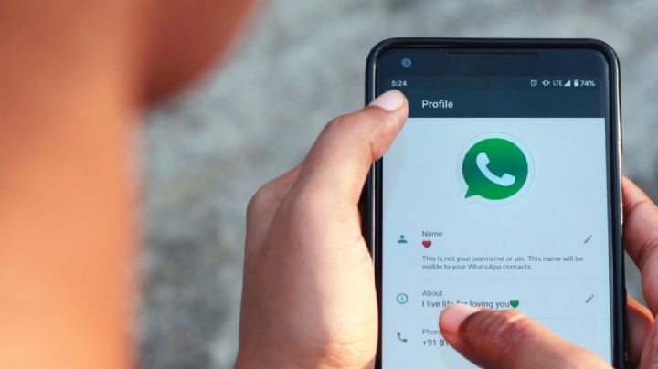 ¿Campañear vía WhatsApp?