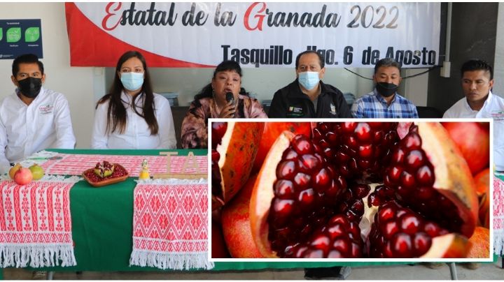 ¿Te gusta la granada? Vuelve festival dedicado a esa fruta en Tasquillo