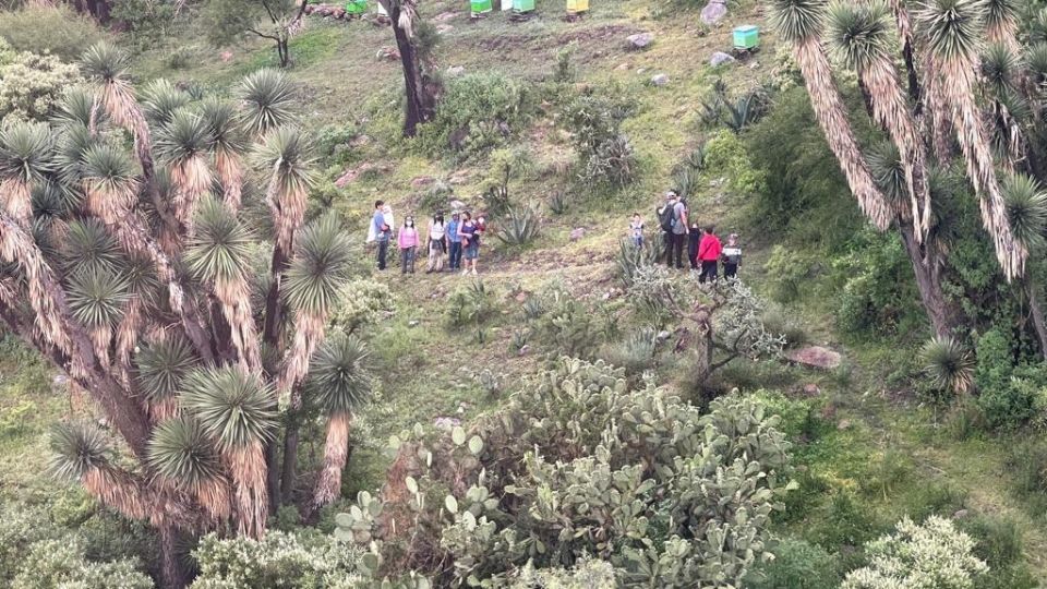 Una familia de 11 integrantes se extravió la tarde de este martes, para encontrarlos movilizaron una cuadrilla y un helicóptero