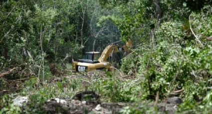 Admiten ampliación de amparo contra tramo 5 del Tren Maya; obras siguen