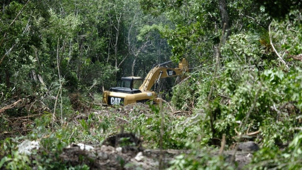 Greenpeace solicitó una ampliación de la demanda de amparo para frenar las obras del tramo 5 del Tren Maya, ya que violan el acuerdo de Escazú y el derecho a un medio ambiente sano