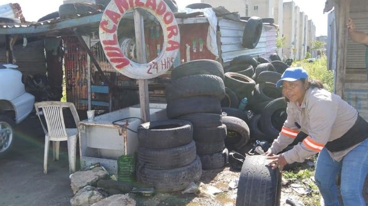 Se extiende combate al dengue en Coatza, destruyen criaderos de mosquitos