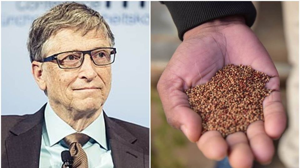 La solución de Bill Gates contra la hambruna mundial