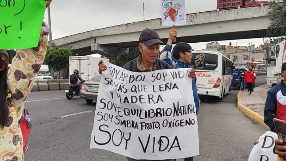 Los habitantes de San Francisco Magú querían protestar para defender las zonas boscosas de la comunidad.