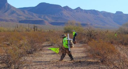 Águilas del Desierto, bajo 50 grados buscan a migrantes abandonados en Arizona