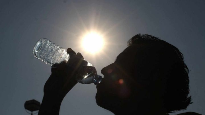 ¿QUÉ alimentos SÍ COMER y cuáles NO en plena ola de calor?