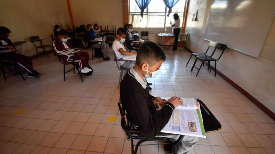 La Coordinación Nacional de Becas para el Bienestar Benito Juárez dispuso una nueva herramienta de solicitudes en línea, para que los niños puedan aplicar para el apoyo de educación básica