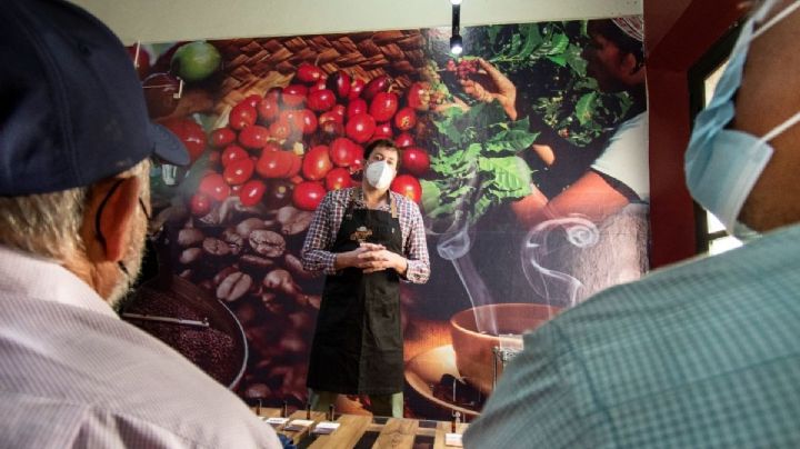 Capacitarán a caficultores de Córdoba para mejorar su cadena de producción