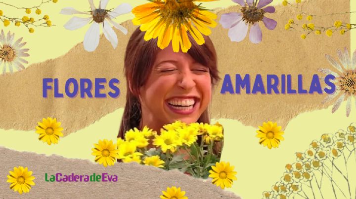 ¿Ya te dieron tus flores amarillas? Te contamos por qué se regalan en septiembre