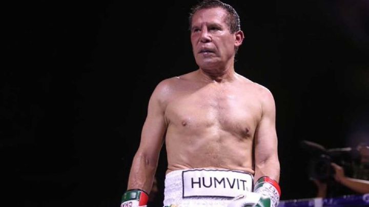 Julio César Chávez se podría enfrentar a "El Terrible" Morales