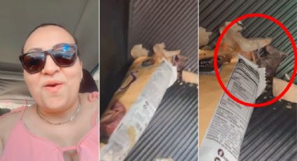 VIDEO: Mujer compra papas fritas, abre la bolsa y le sale una rata