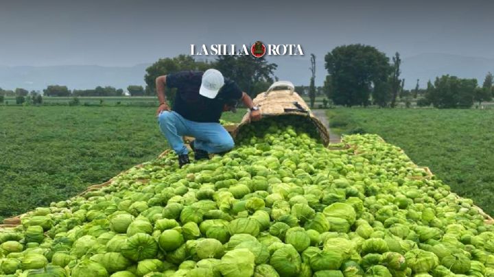 “El Toñín”: líder huachicolero buscado por el gobierno, pero protegido por el pueblo