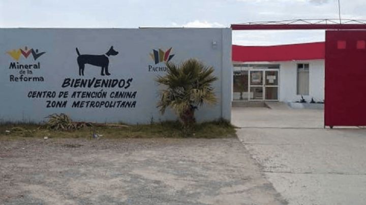 VIDEO | Por temor a ser despedido, rechaza donaciones al Control Canino metropolitano