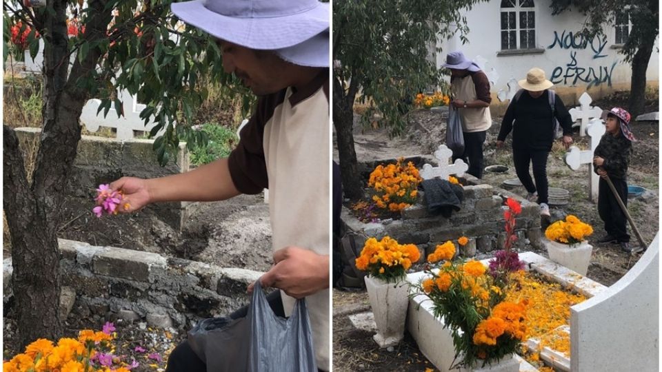 Las familias de la zona otomí de Toluca siembren sus propias flores de cempasúchil ante la crisis económica.