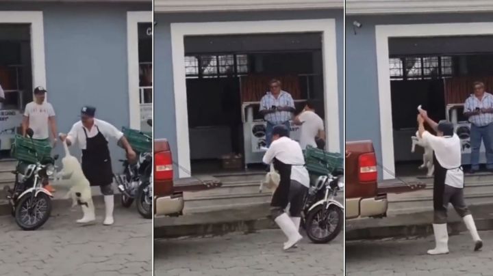 VIDEO: Carnicero dispara a perrita con pistola de balines