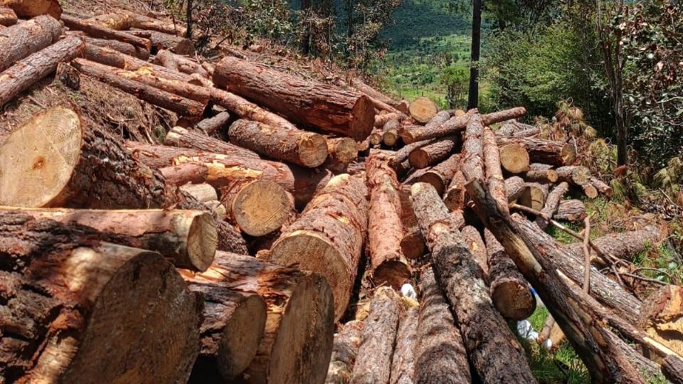 Con pruebas en mano e investigaciones que ha hecho en campo, Gerardo González, de Ecosur, refirió que el trasiego de cualquier cosa, incluida la de humanos, es un negocio muy redituable en la zona.