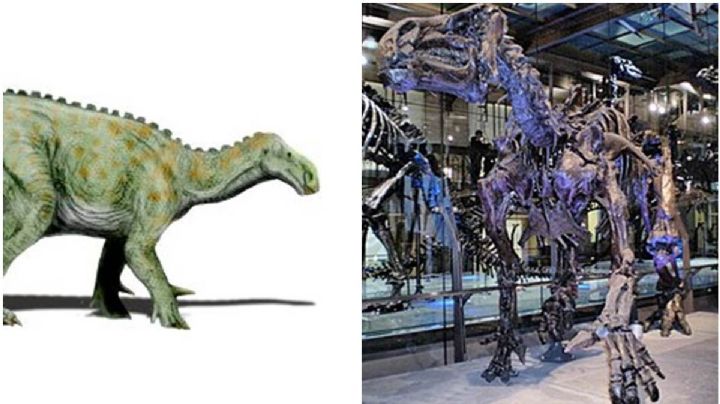 ¿Jurassic World? Subastan en París un dinosaurio bien conservado