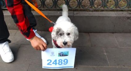 Carrera Perritos en Fuga 2.5K: ¿Cuándo y donde se realizará?