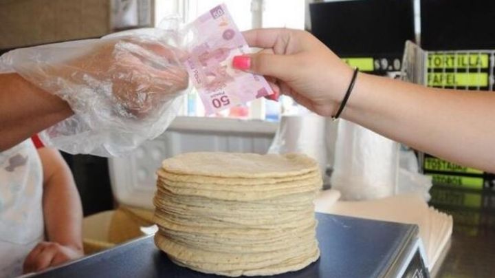 Precio de las tortillas: ¿Dónde cuesta más el kilo y dónde cuesta menos?
