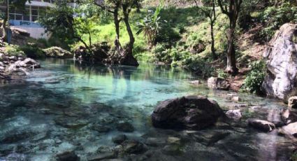 Mientras comía, fallece turista en la Laguna iluminada de Nogales