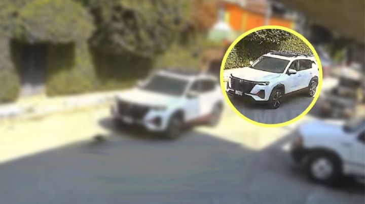 Buscan a conductora de camioneta que atropelló a perrita en Edomex; dejó huérfanos a cachorros