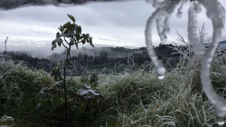 ¿Cuáles son los municipios más fríos durante el invierno en Veracruz? 