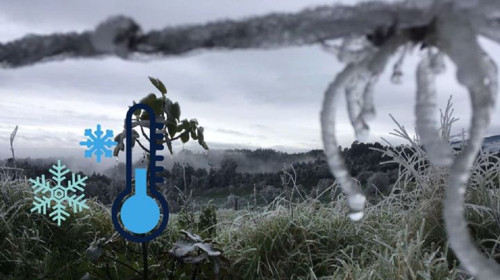 Bajo cero: Estos 9 municipios en Veracruz tuvieron heladas este sábado 14 de enero