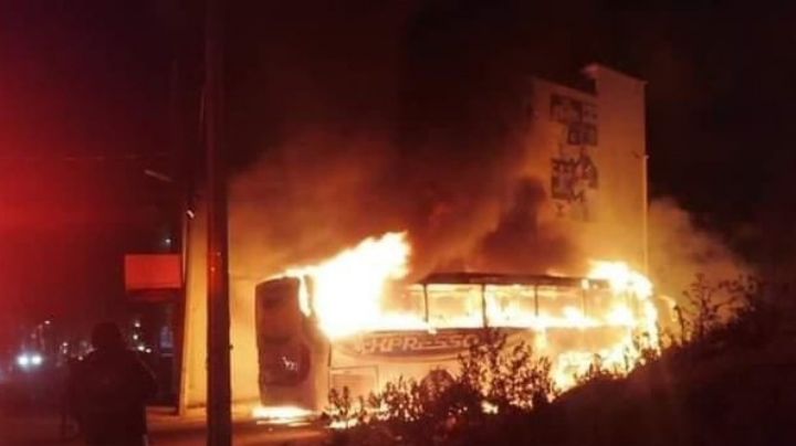 Vandalismo cerca del AIFA: queman autobuses de pasajeros